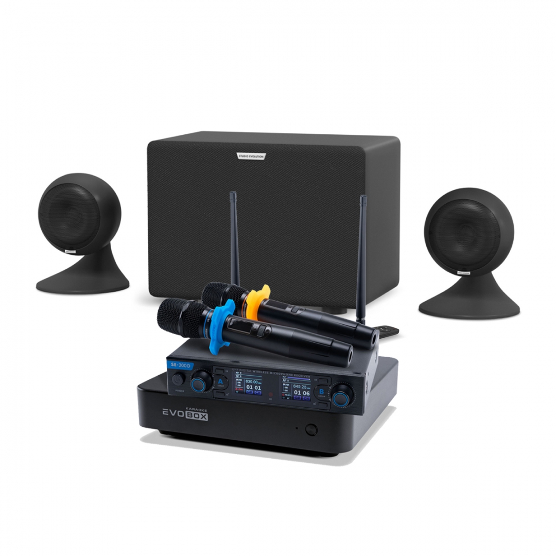 караоке-комплект EVOBOX + EvoSound Sphere 2.1 в Аргуне
