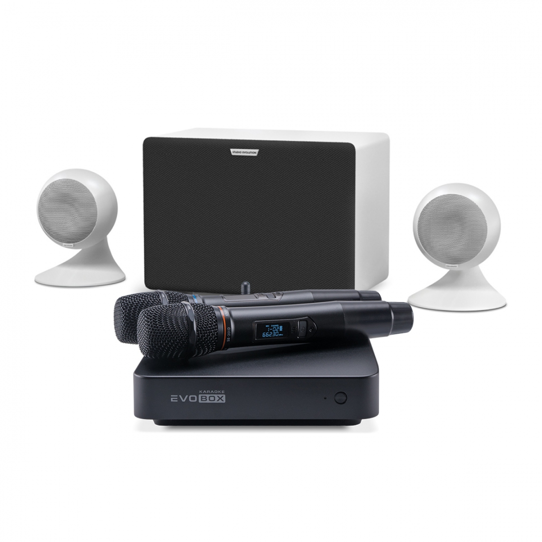 караоке-комплект EVOBOX Classic + EvoSound Sphere 2.1 в Аргуне