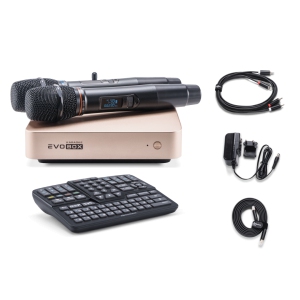 EVOBOX Classic караоке-система для дома в Аргуне