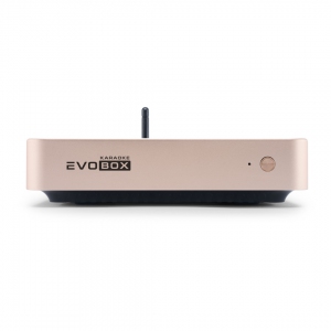 EVOBOX Plus караоке-система для дома в Аргуне